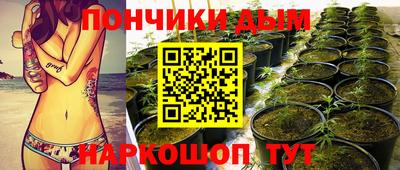 ПСИЛОЦИБИНОВЫЕ ГРИБЫ Свободный