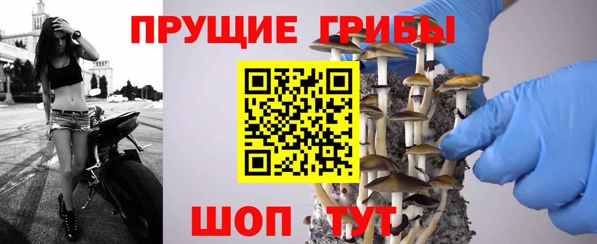 Псилоцибиновые грибы мухоморы  Галлюциногенные грибы Cubensis  Партизанск  Вход с VPN 