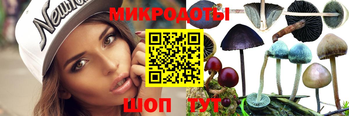 Галлюциногенные грибы Psilocybine cubensis Партизанск
